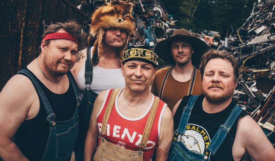 Steve 'n' Seagulls