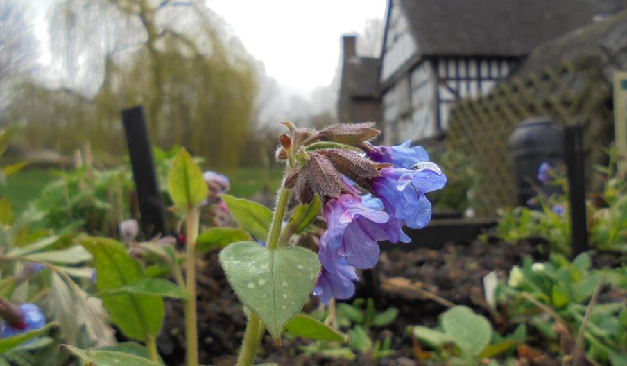 May Day Guided Tours