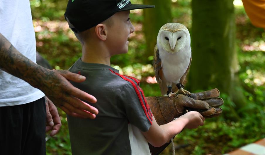Image shows an owl perched on a young boys hand
