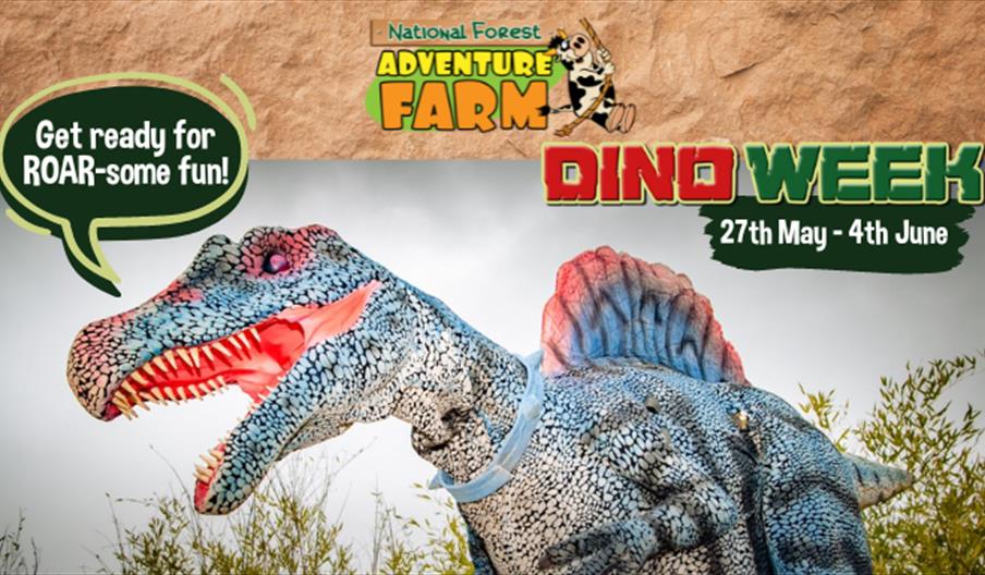 Image shows a picture of a dinosaur, saying 'Get ready for ROAR-some fun!' and the dates of Dino Week at the National Forest Adventure Farm, Staffords