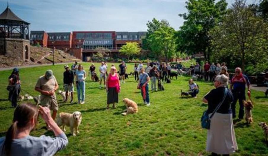 People with dogs in the park