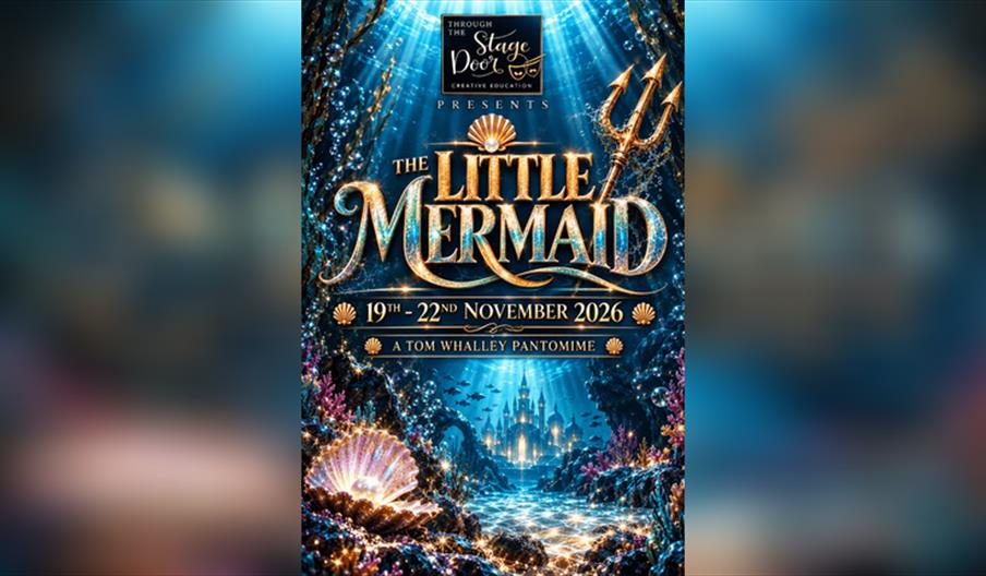 Ttsd Performing Arts School Presents the Little Mermaid !