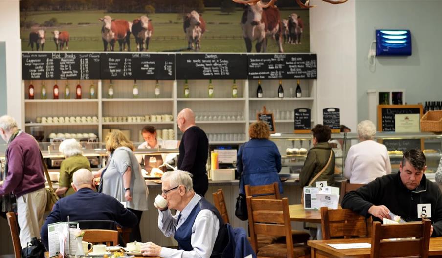 Sample the homemade food from the tea room