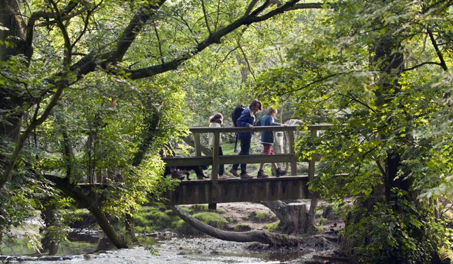 image of people crossing a wooden bridge over a river
