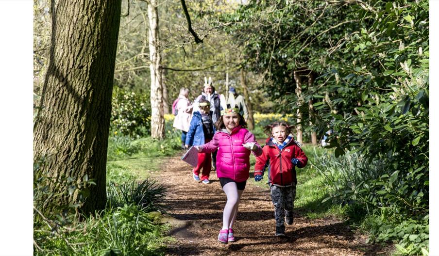 image of children walking through woodland, dressed in Easter costume