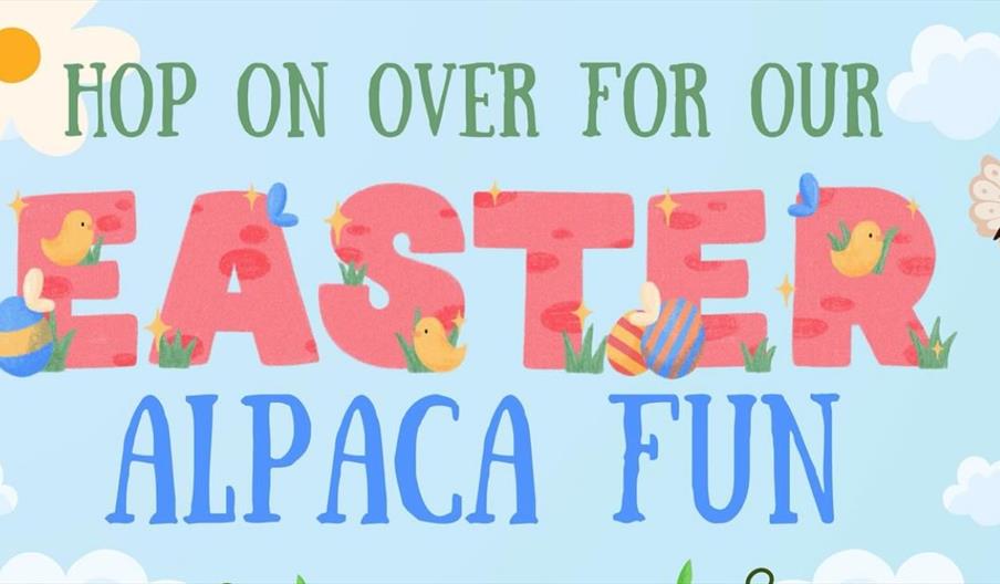 Easter Alpaca Fun