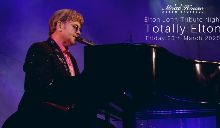An image of an Elton John lookalike, playing a Grand Piano and singing