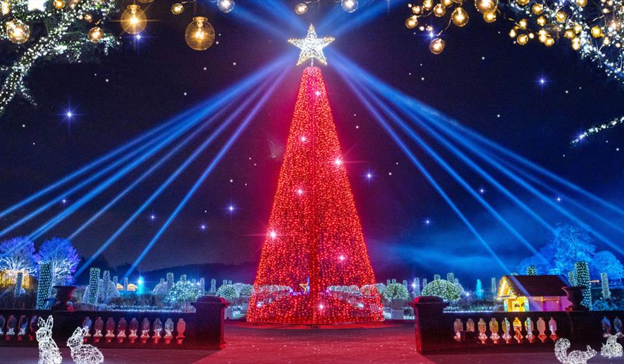 The illuminated Christmas tree is the stunning centrepiece of Christmas at Trentham, Staffordshire