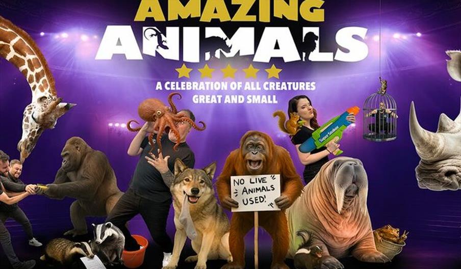 Amazing Animals