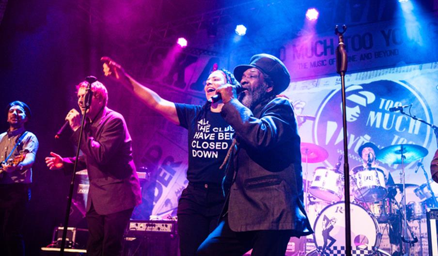 Too Much Too Young - The Story of 2Tone & Beyond!