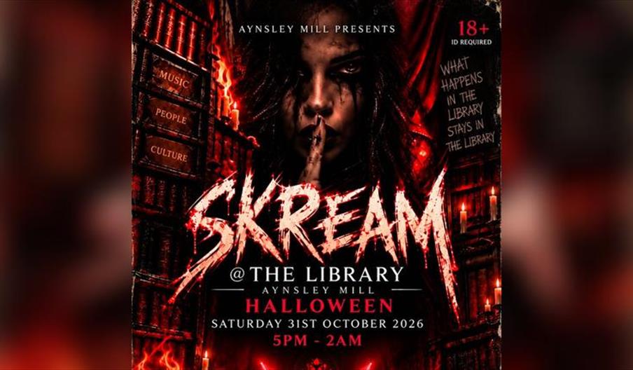 Skream @ the Library Aynsley Mill