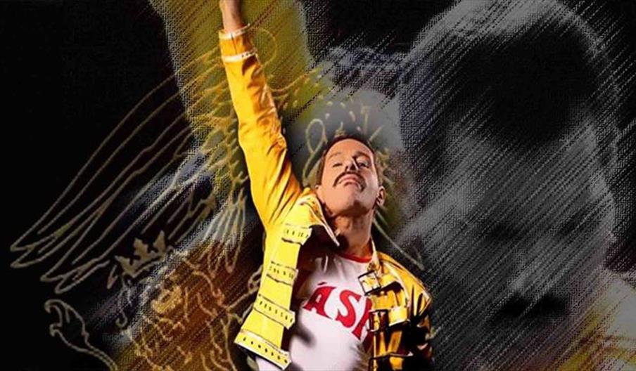 Freddie Mercury Tribute Night - Fenton