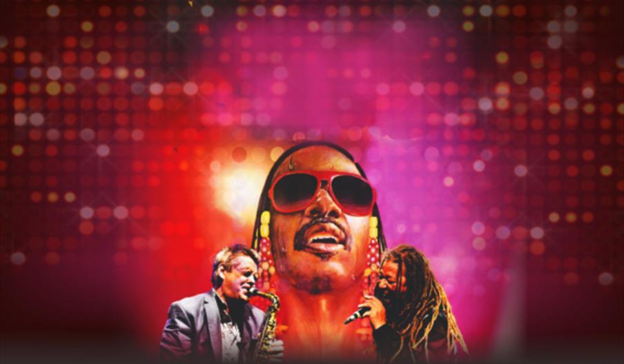 The Wonder of Stevie