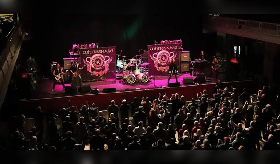 Whitesnake UK