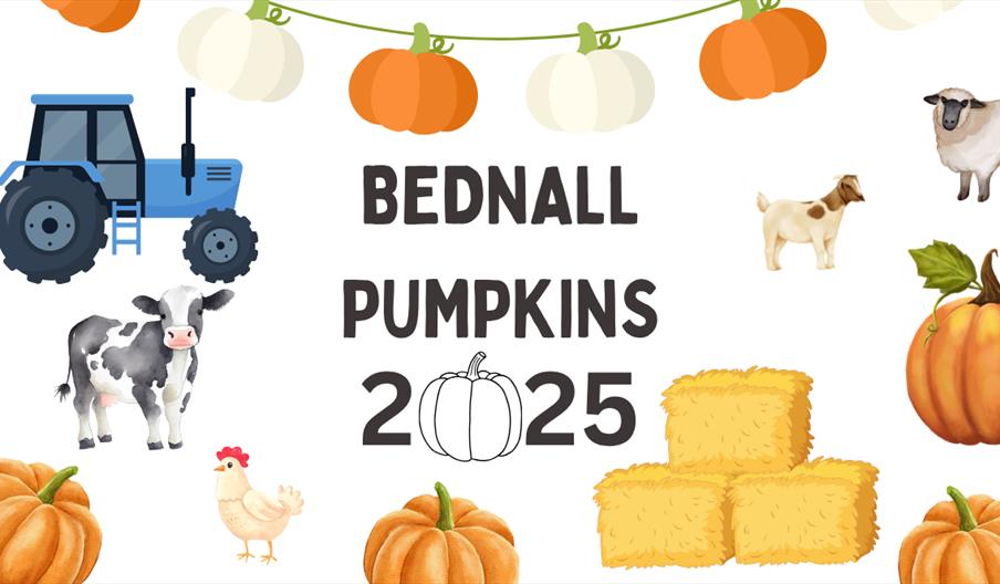 A graphic with tractors, farm animals, hay bales and pumpkins, with 'Bednall Pumpkins 2025' written on it