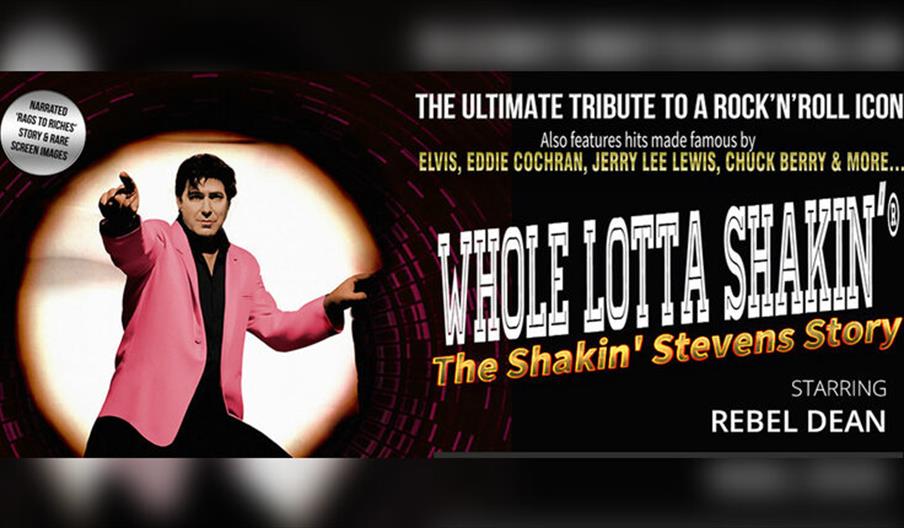 Whole Lotta Shakin' The Shakin' Stevens Story