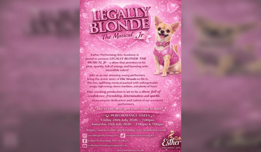 Legally Blonde Jr The Musical