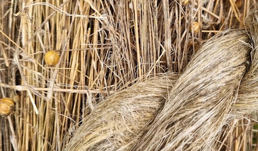 image of Flax