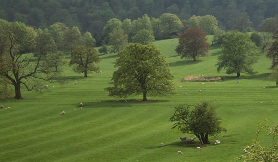 Family Guided Walk: Geology, Archaeology and Landscape