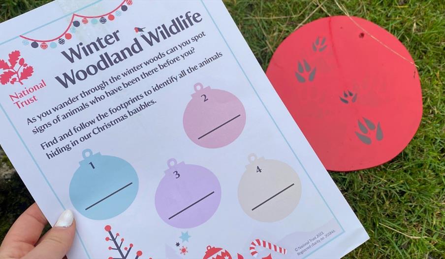 Festive Footprints Trail