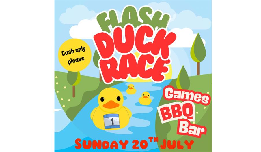 Flash Duck Race