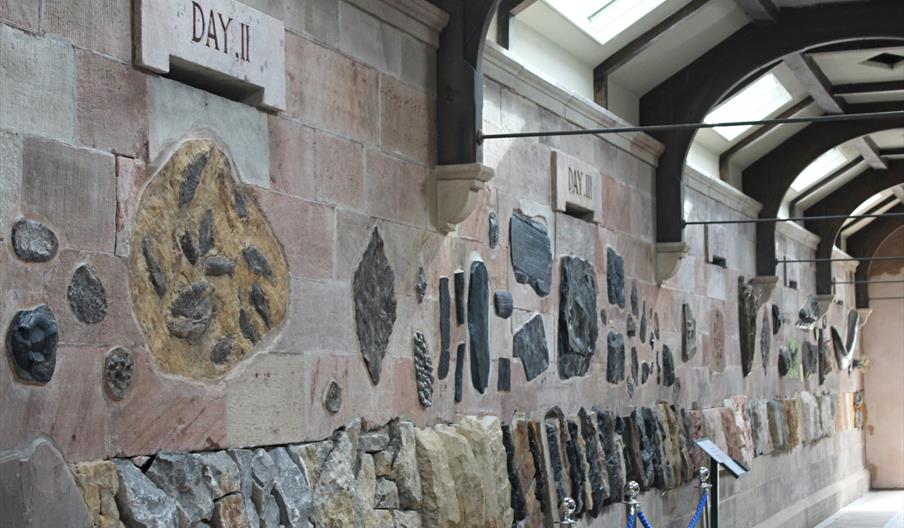 image of Fossil Gallery