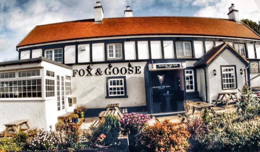 Fox and Goose