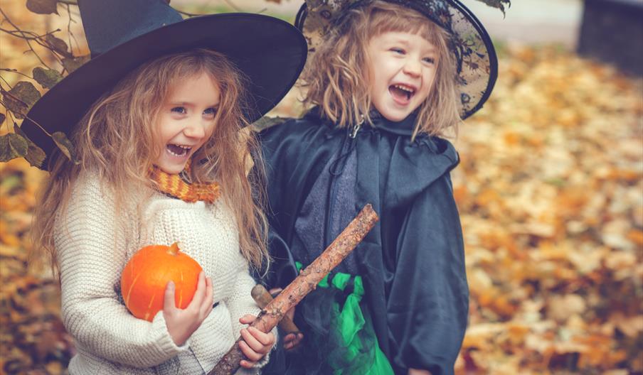 Two children in fancy dress with their pumpkin haul, at Tittesworth Water, Staffordshire