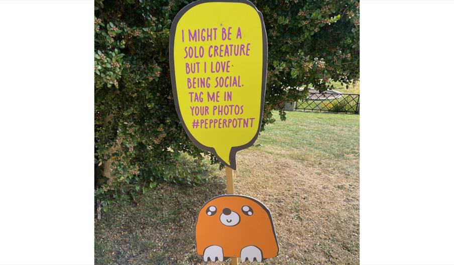 Go on a Mole Mission