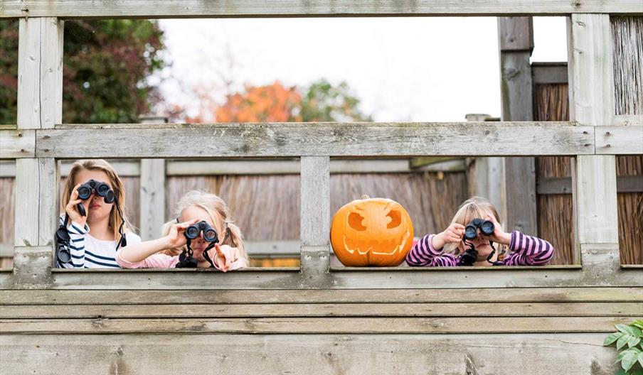 Big Wild Halloween at RSPB Middleton Lakes