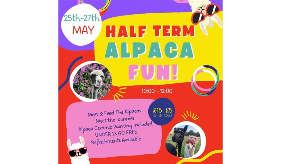 multiple images of alpacas and text for Half Term  Alpaca Fun