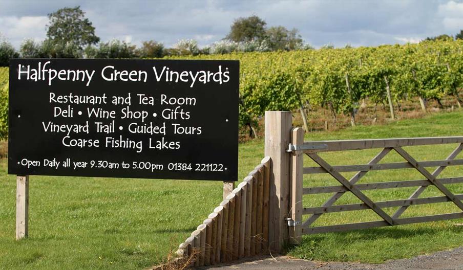 entrance through the vines