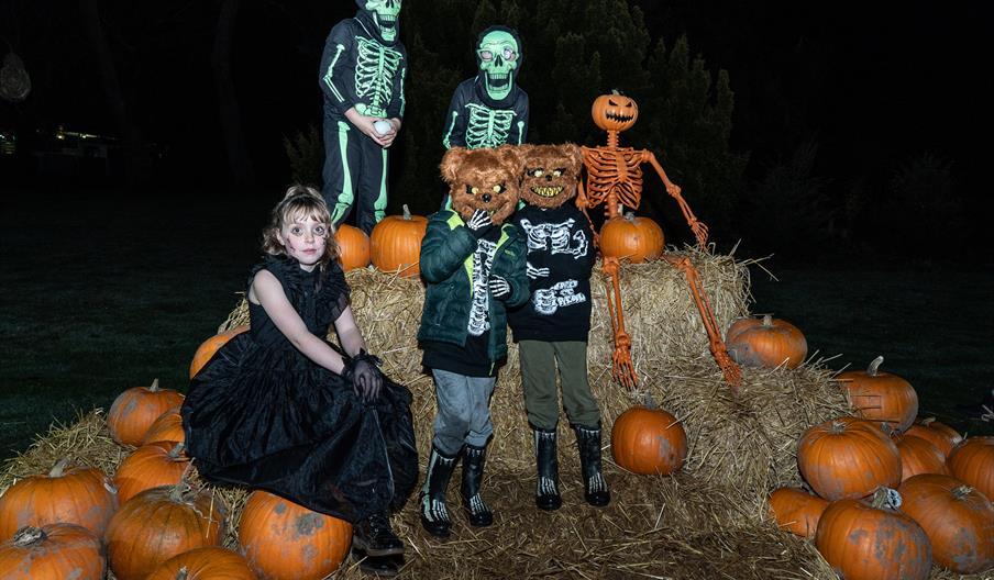 Trentham Halloween Festival
