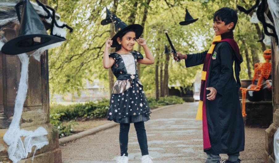 Halloween Half Term in the Gardens