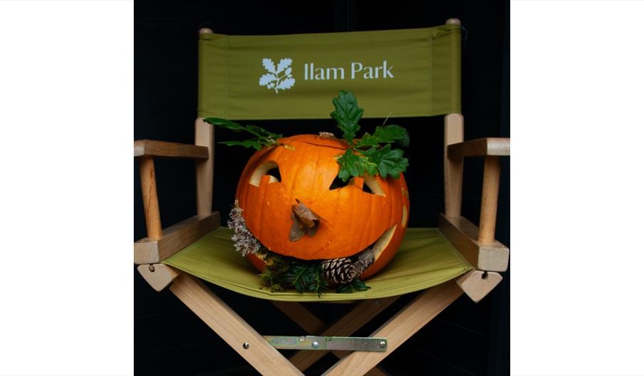 a decorated pumpkin on a desk chair