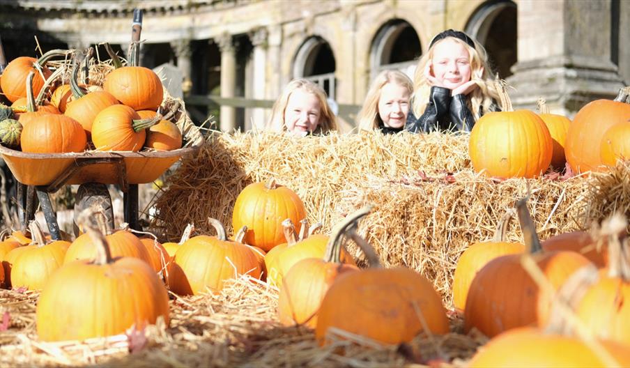 Image shows tons of pumpkins, some sitting on hay bales, others in a wheelbarrow, with some children admiring them