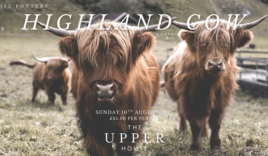 Highland Cow Workshop with HSL Pottery