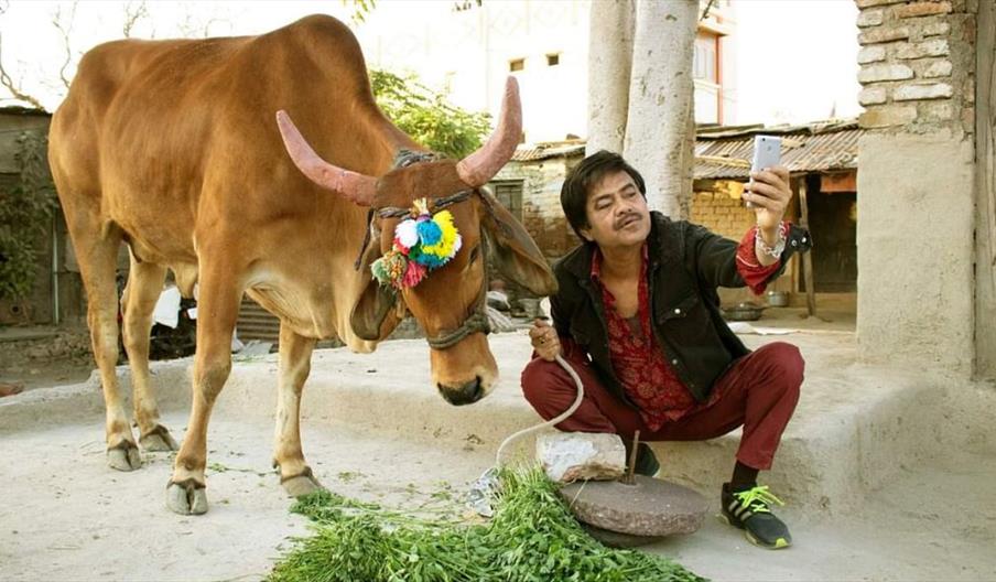 Holy Cow (15)