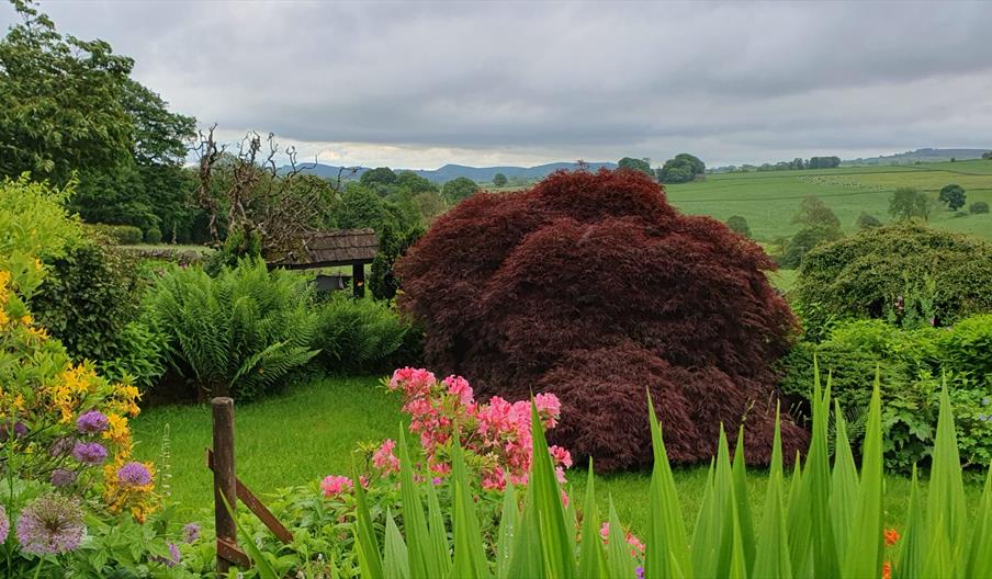 Image shows a colourful English garden, looking out over rolling green fields
