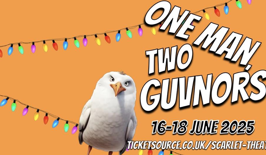 One Man, Two Guvnors