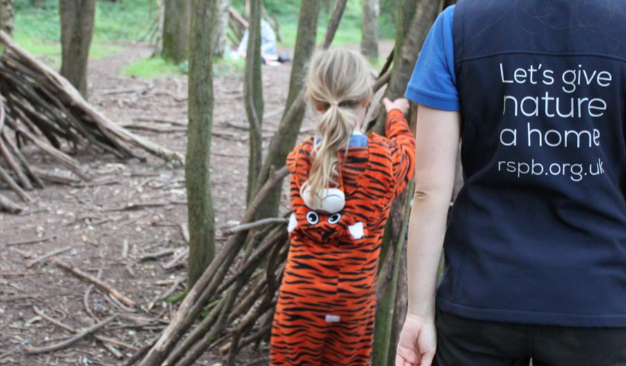 Image shows the backs of a young visitor - in a tiger onesie - and a staff member, building a den