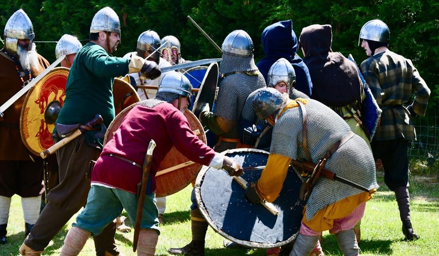 Saxons fighting