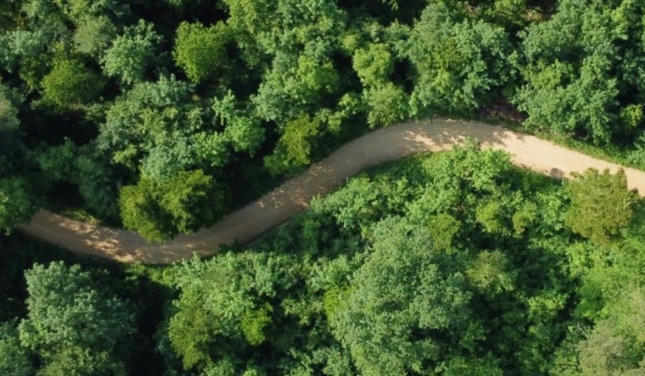 Joseph Haydn: The Creation