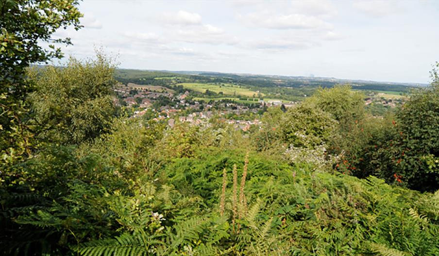 Kinver Edge