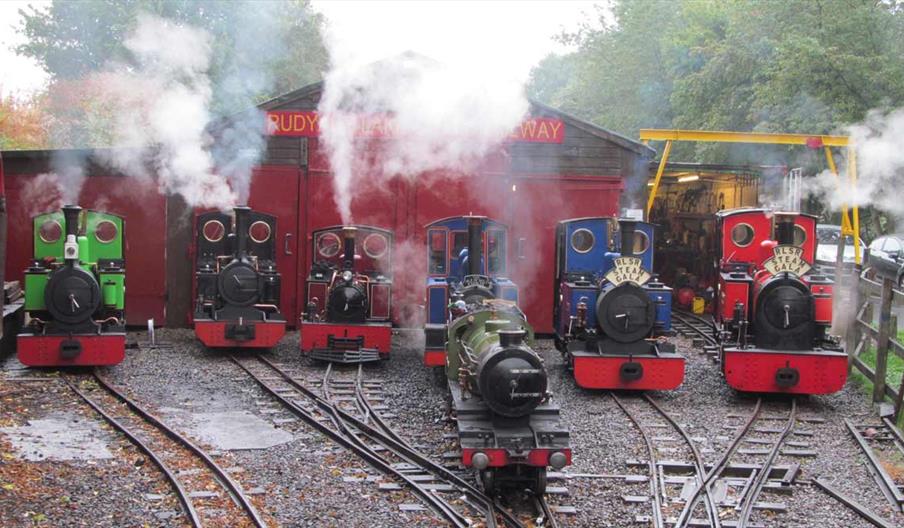 Trains outside the sheds