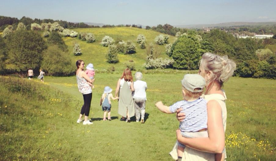Ladderedge Country Park