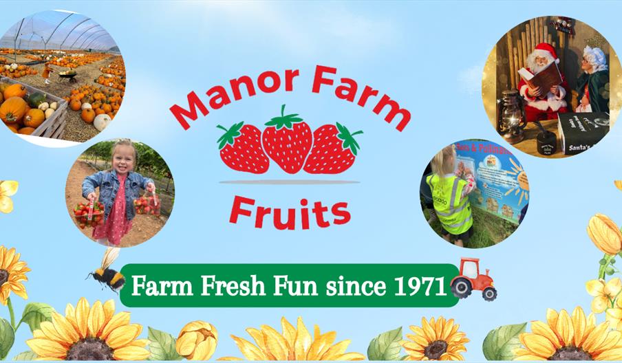Manor Farm Fruits