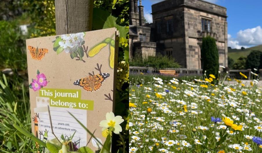 May Half Term Nature Creators!