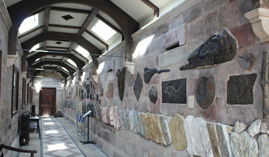 Fossil Making