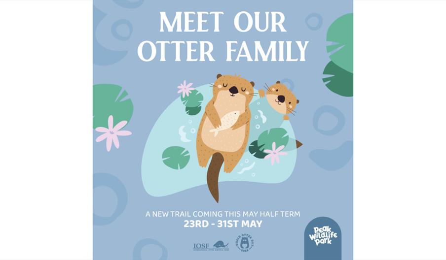 Meet the Otter Family Trail